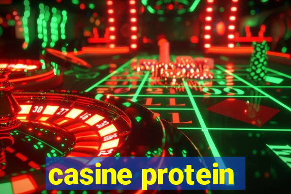 casine protein