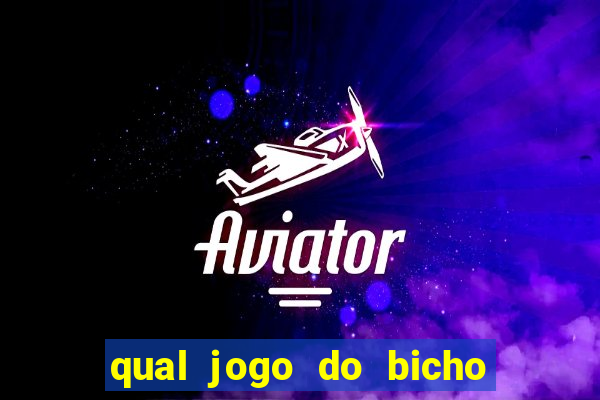 qual jogo do bicho paga mais