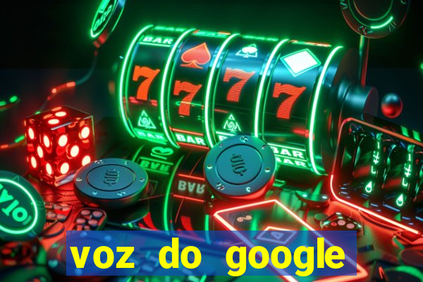 voz do google tradutor homem