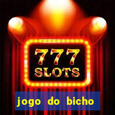 jogo do bicho paraíba de hoje