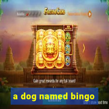 a dog named bingo