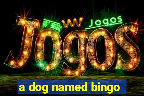 a dog named bingo