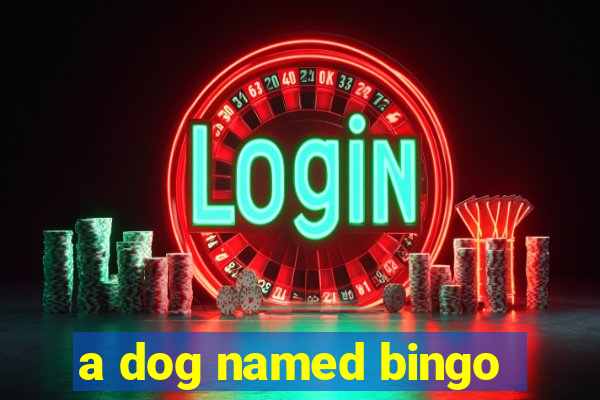 a dog named bingo