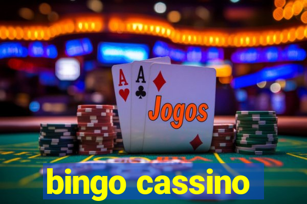 bingo cassino