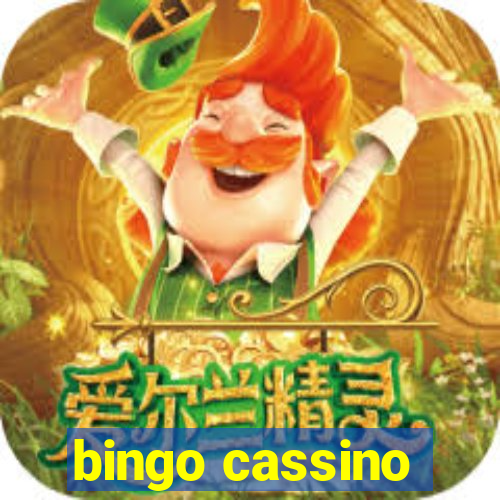 bingo cassino