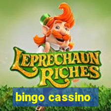 bingo cassino