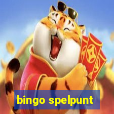 bingo spelpunt