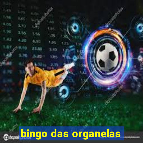 bingo das organelas