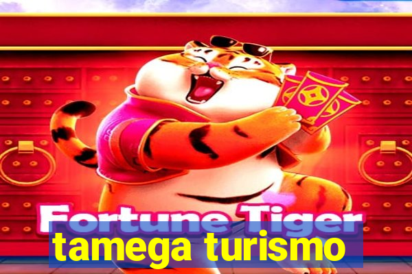 tamega turismo