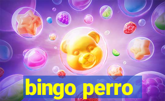 bingo perro