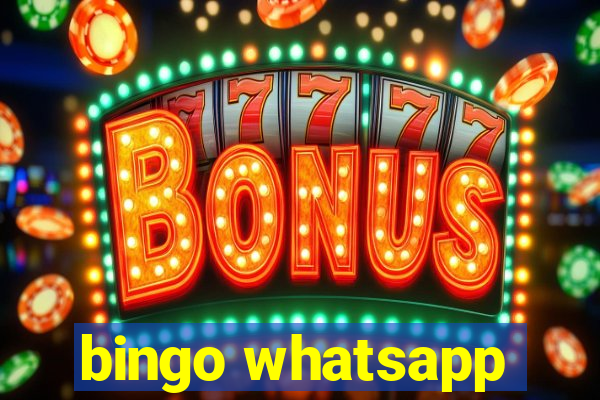 bingo whatsapp