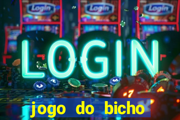 jogo do bicho crash bingo