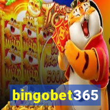 bingobet365