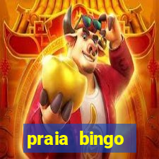 praia bingo download pc