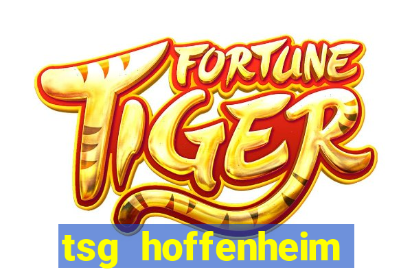 tsg hoffenheim bayer leverkusen 04/11/2023