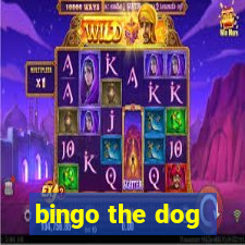 bingo the dog