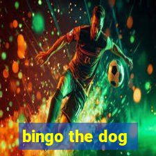 bingo the dog