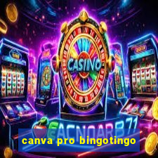 canva pro bingotingo