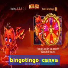 bingotingo canva pro gratis