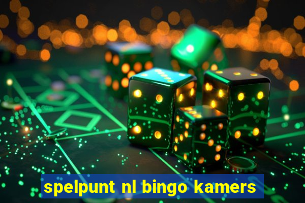 spelpunt nl bingo kamers