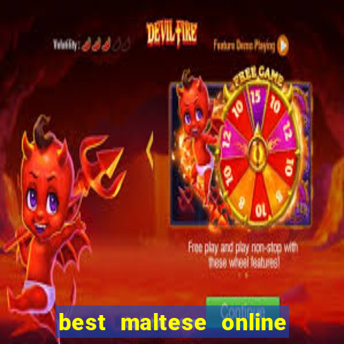 best maltese online bingo sites