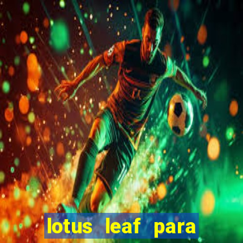 lotus leaf para que serve