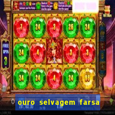 ouro selvagem farsa ouro selvagem o que aconteceu