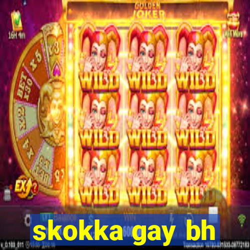 skokka gay bh