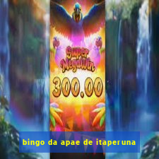 bingo da apae de itaperuna