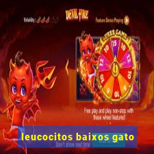 leucocitos baixos gato