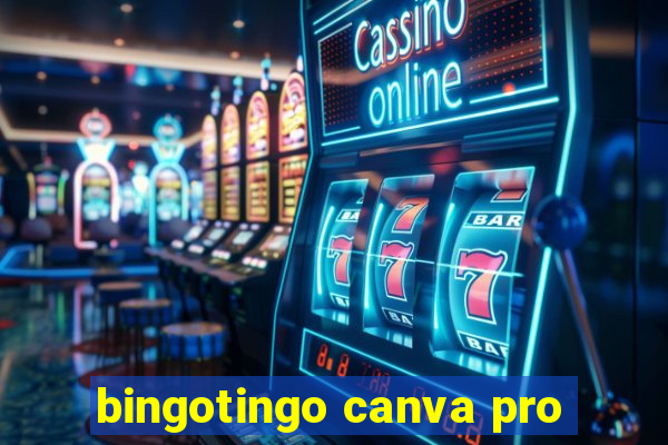 bingotingo canva pro