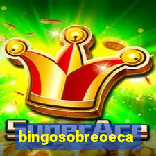 bingosobreoeca