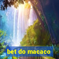 bet do macaco